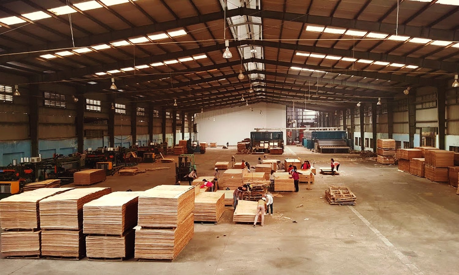 plywood-factory-industry